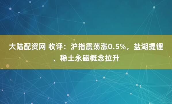 大陆配资网 收评：沪指震荡涨0.5%，盐湖提锂、稀土永磁概念拉升