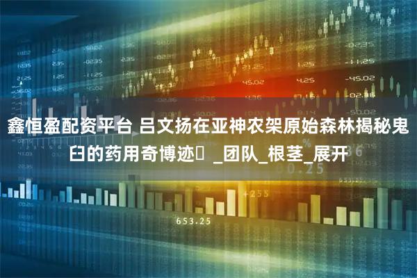 鑫恒盈配资平台 吕文扬在亚神农架原始森林揭秘鬼臼的药用奇博迹‌_团队_根茎_展开